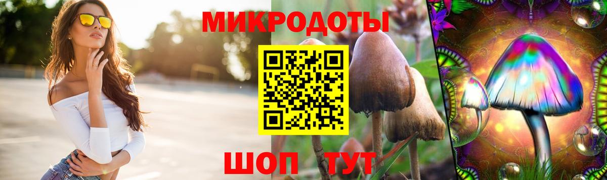 Галлюциногенные грибы Magic Shrooms Кимры