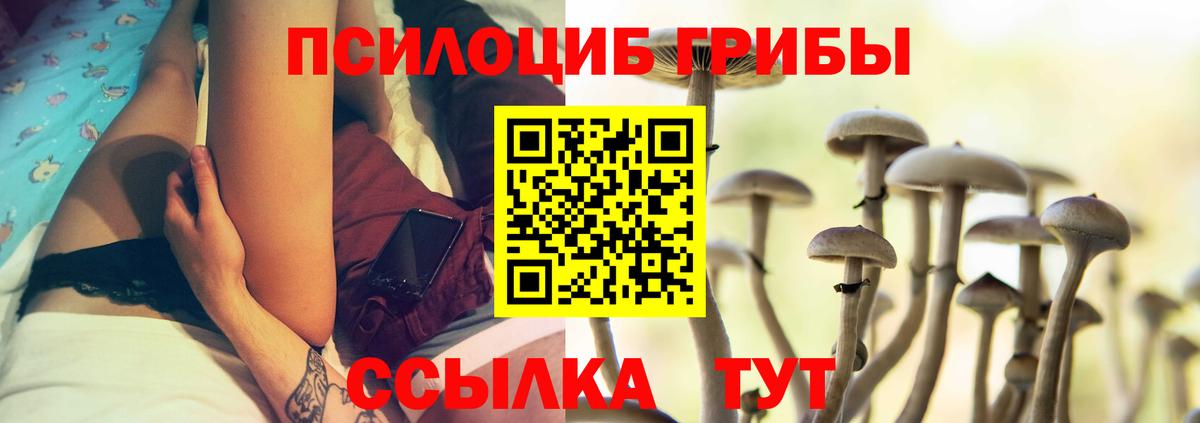 Кимры  Галлюциногенные грибы Psilocybe  Вход с VPN  Галлюциногенные грибы ЛСД 